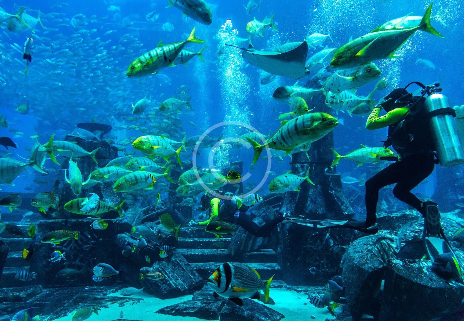 Advanced Open Water Diver