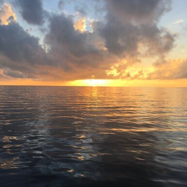Seahawk Sports Fishing Sunrise Tour