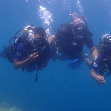 Open Water Diver Course