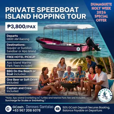 Private Speedboat Tour Flyer